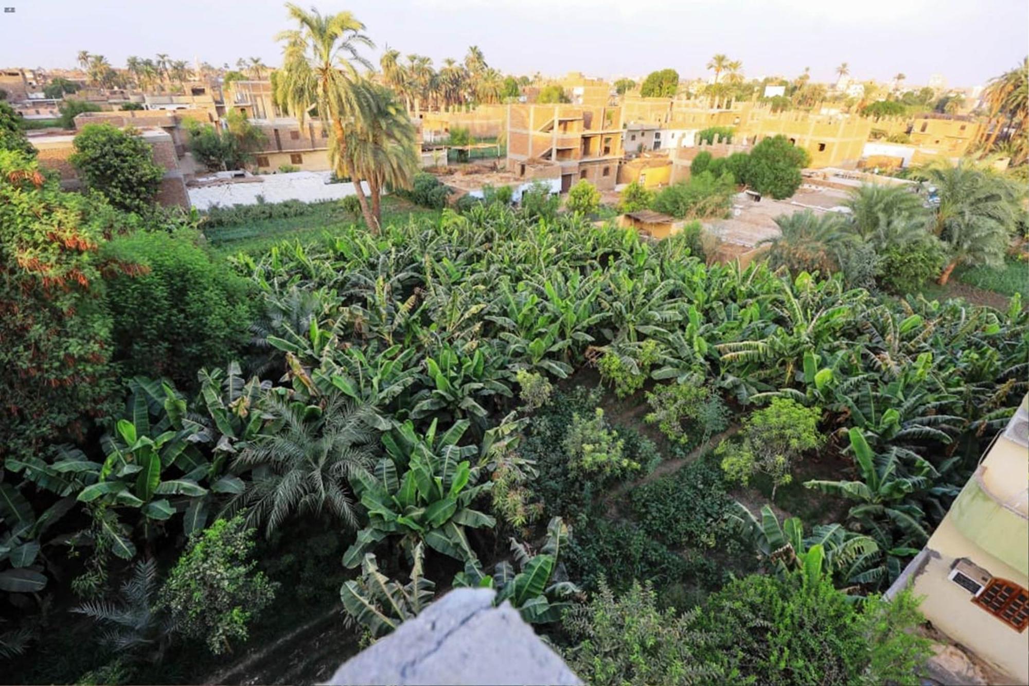 Luxor View Hostel Luaran gambar