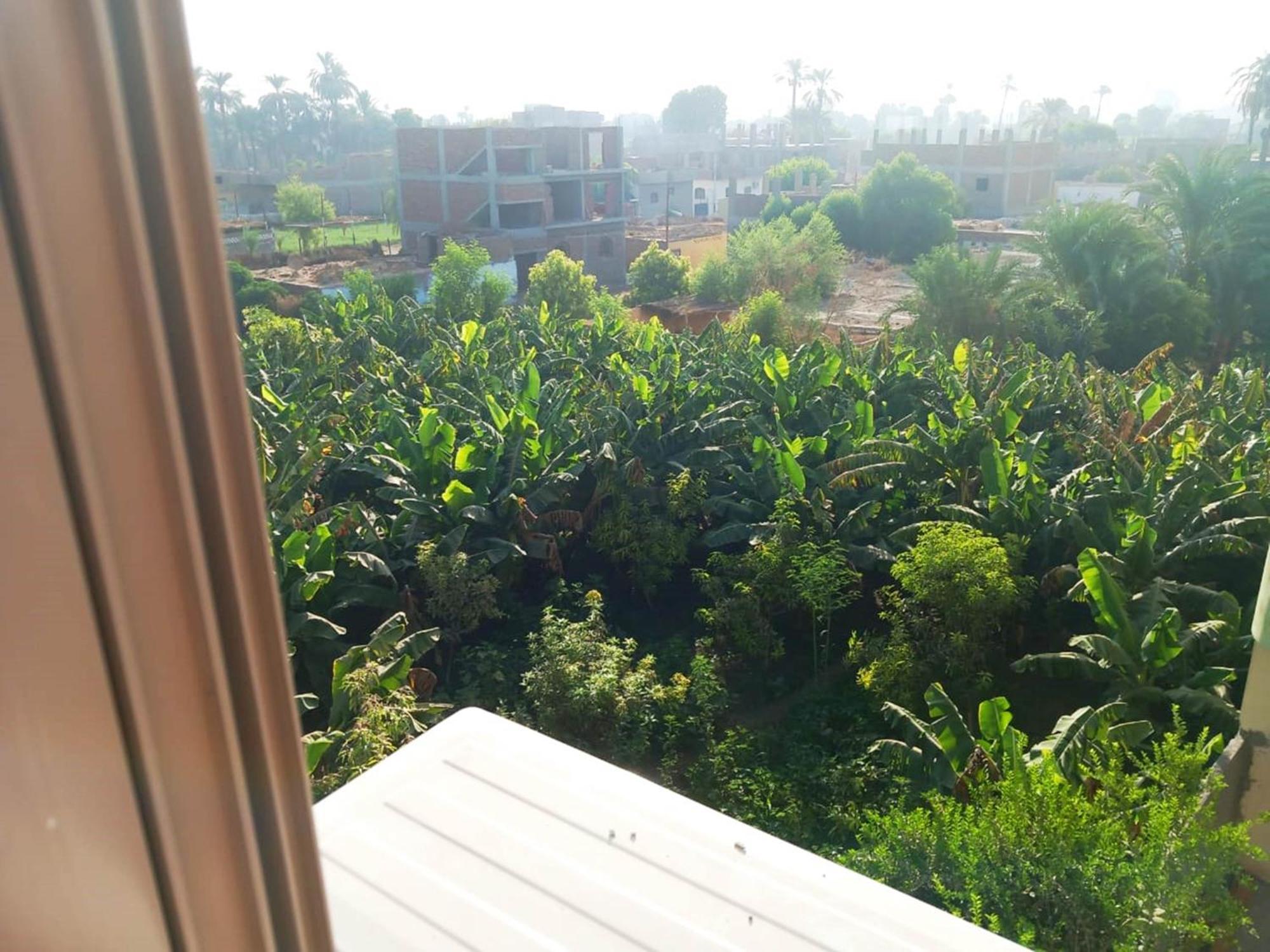 Luxor View Hostel Luaran gambar