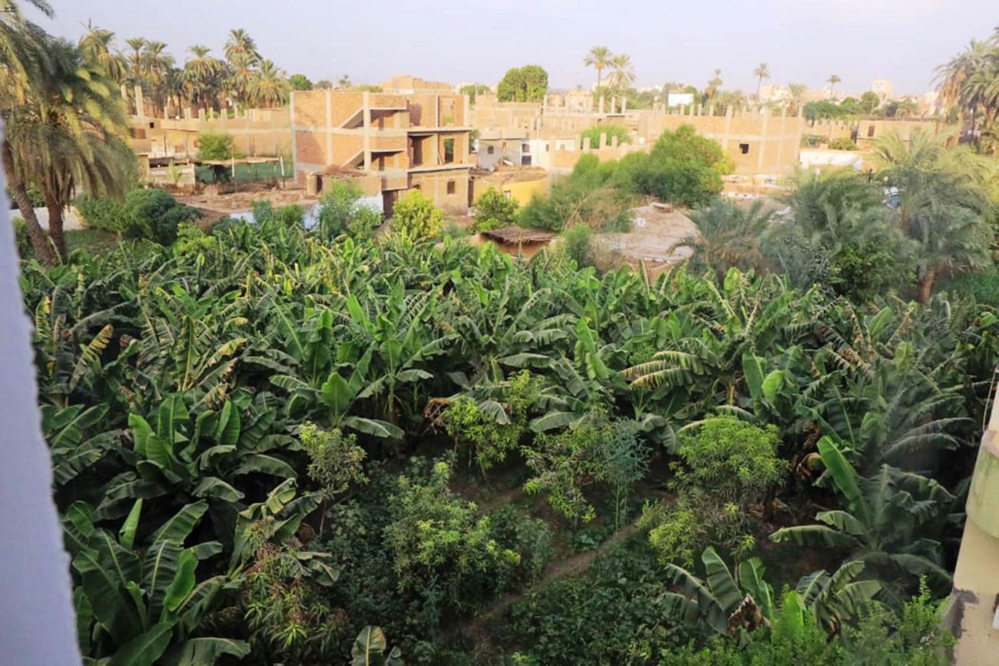 Luxor View Hostel Luaran gambar